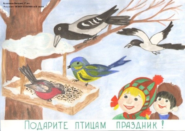 Птицы наши друзья рисунки