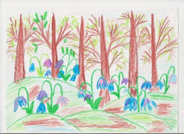 Рисунок на тему Весна карандашом