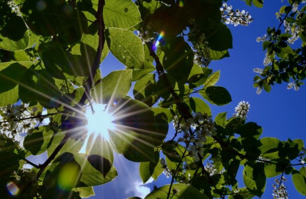 Солнечный день анимация