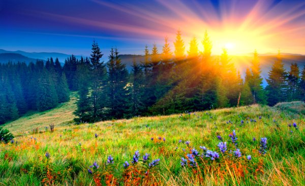 Яркое солнце