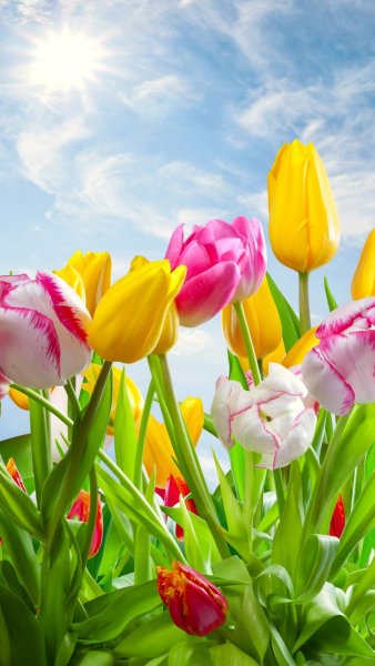 Весна цветы