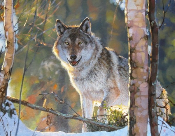 Художник Медведкин Евгений, Весна волка