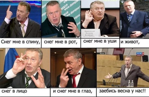 Владимир Жириновский мемы