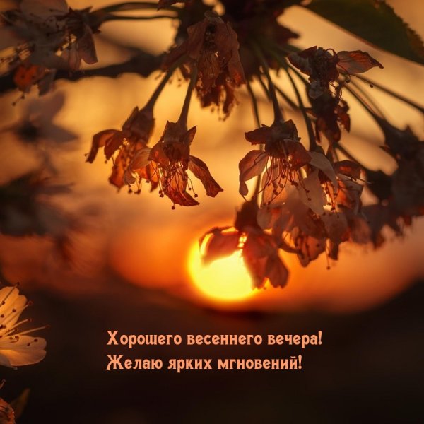 Добрый весенний вечер картинки с надписями