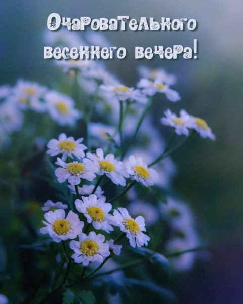 Доброго уютного весеннего вечера