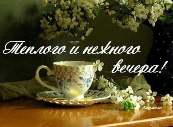Открытки с добрым весенним вечером и хорошим настроением