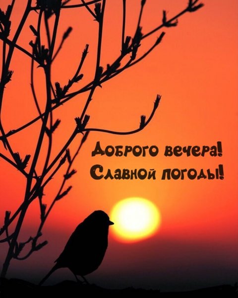 Прекрасного весеннего вечера