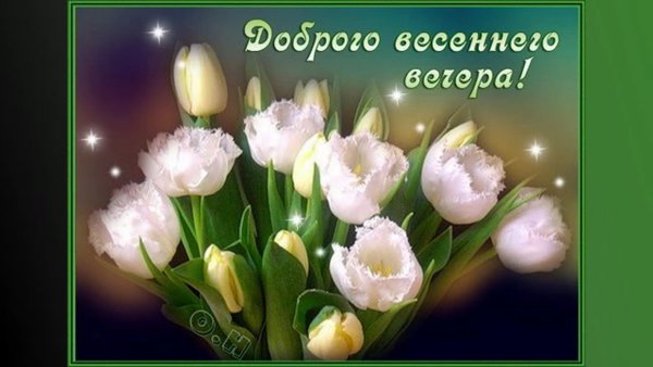 Доброго уютного вечера