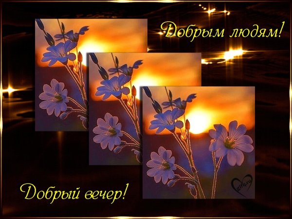 Доброй весенней ночи