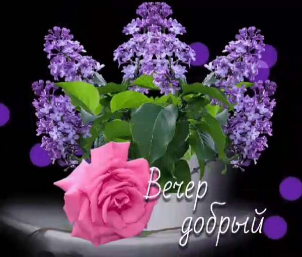 Добрый вечер