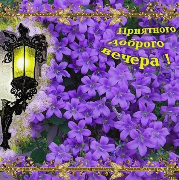 Добрый весенний вечер друзья