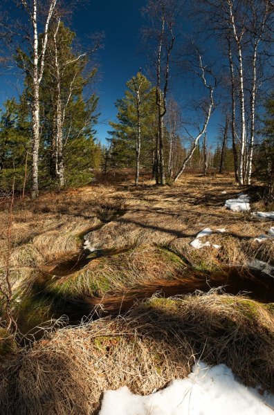 Ранняя Весна