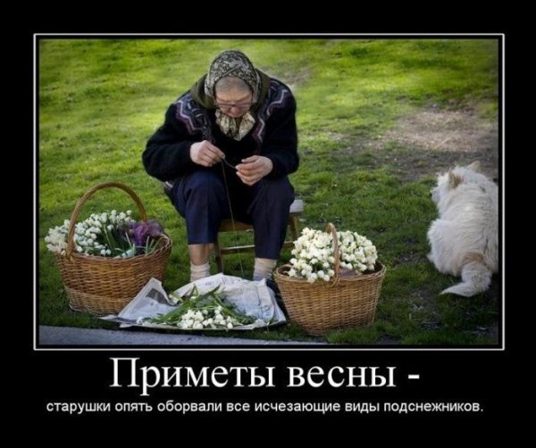 Приколы про весну