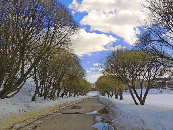 Ранняя Весна в городе