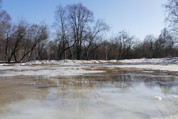 Ранняя Весна в Москве 2021