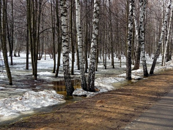 Проталины и ручьи