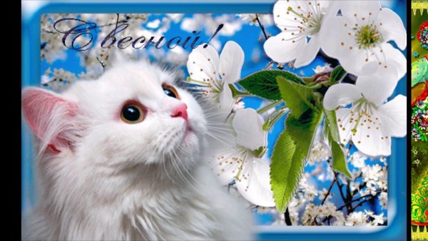 С началом весны