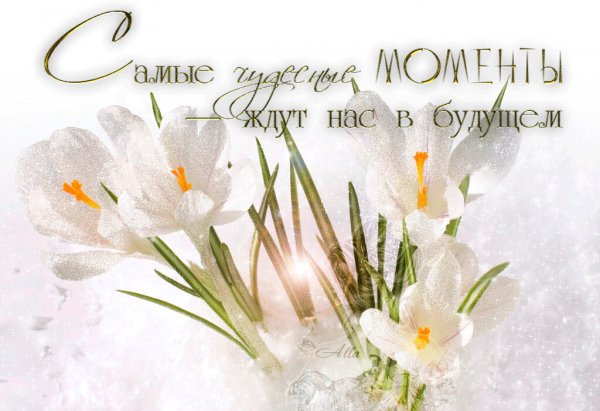 Поздравление с весной