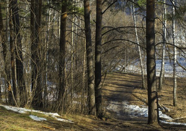 Ранняя Весна в Сибири