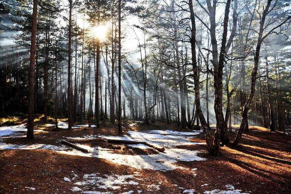 Ранняя Весна в Сибири