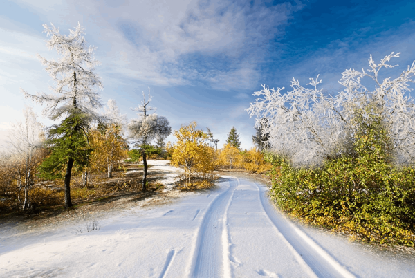Пейзаж времена года