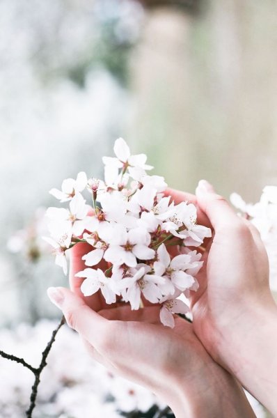 Букет Весна зимой