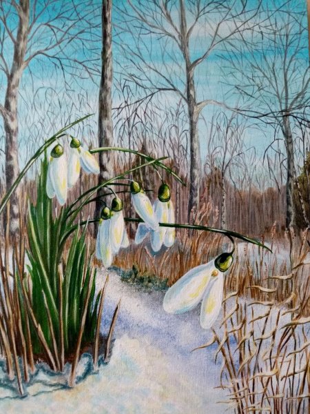 Владимир Деревенчук Березовая роща