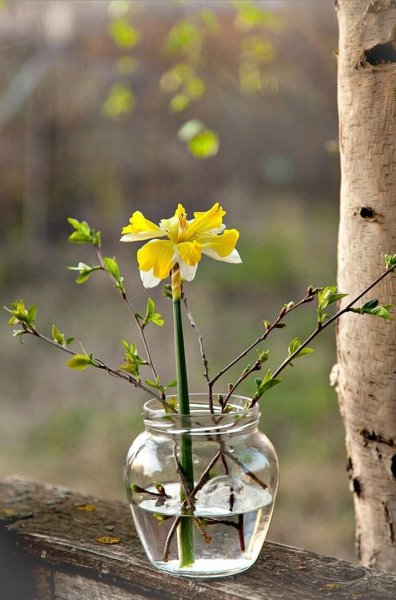 Доброе утро зайчик