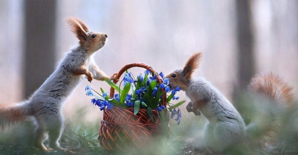 Утро Весна с животными