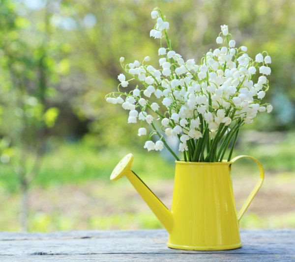 Доброго весеннего утра и хорошего настроения