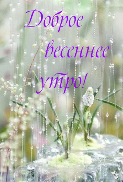 С добрым утром марта