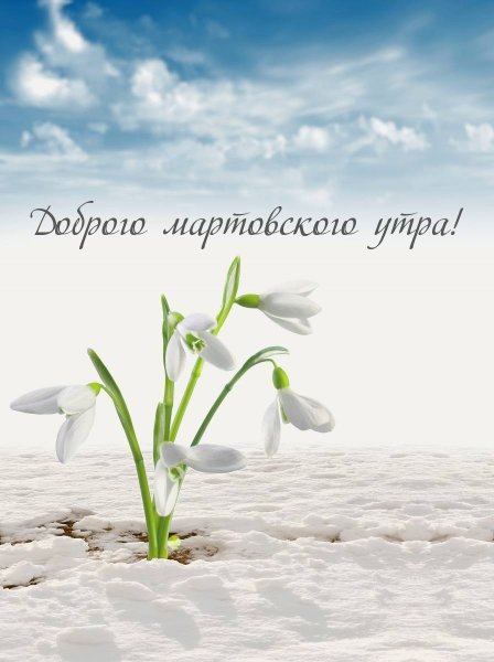 Пожелания с добрым весенним утром