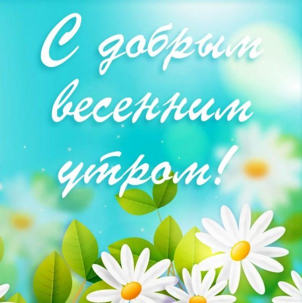 Открытки с ромашками доброе утро