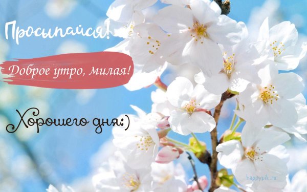 Доброе Весеннее утро с надписями