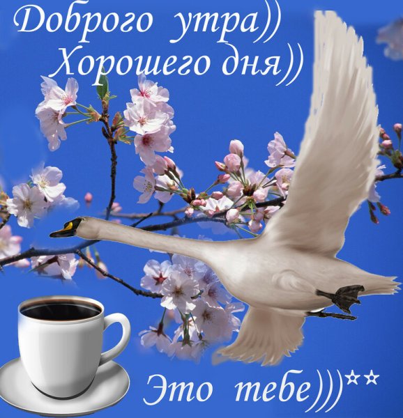 Пожелания доброго весеннего утра