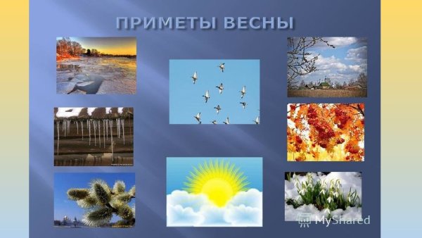 Приметы весны для дошкольников