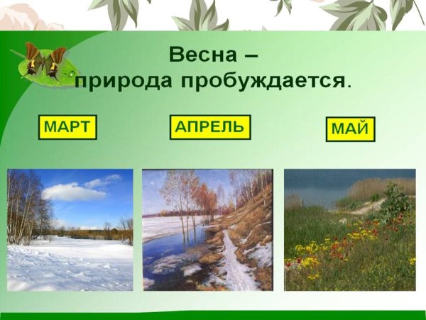 Весенний фон