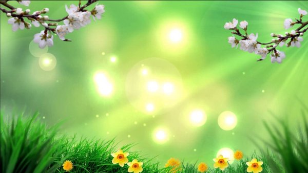 Весна подснежники солнце