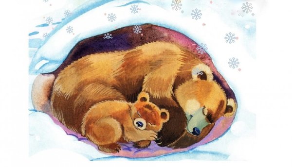 Медвежонок спит в берлоге