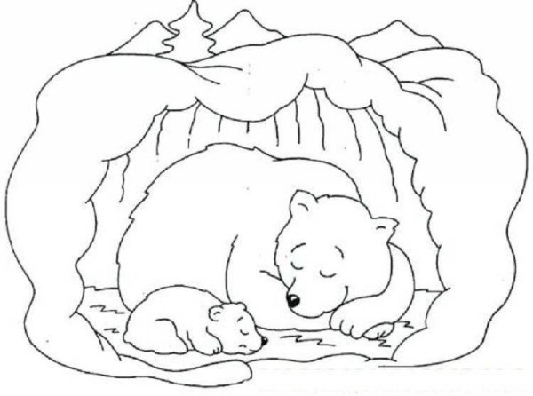 Картинки раскраски медведь спит в берлоге (53 фото)