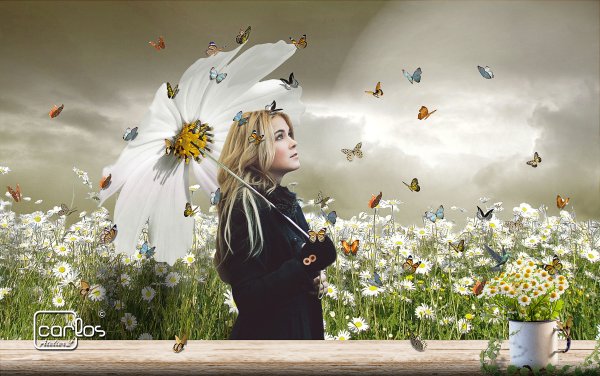 Живи сердцем цитаты