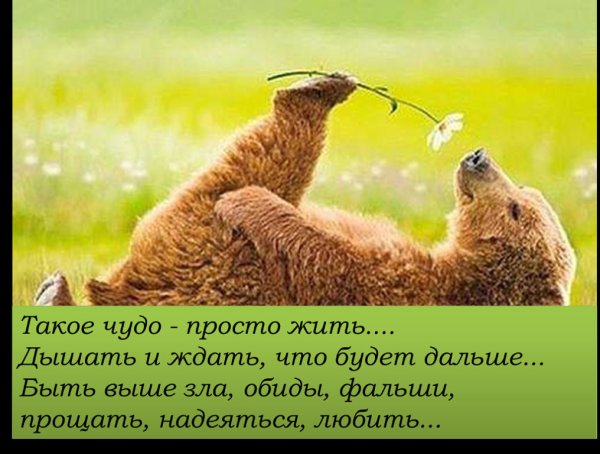 Весна уходит