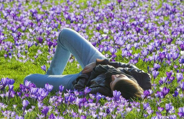 Девочка и море