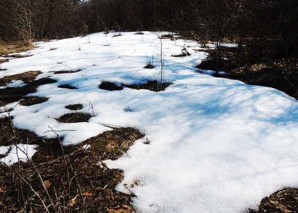 Весна рисунок