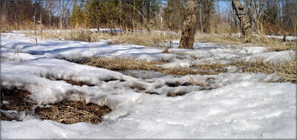Апрельские ручьи