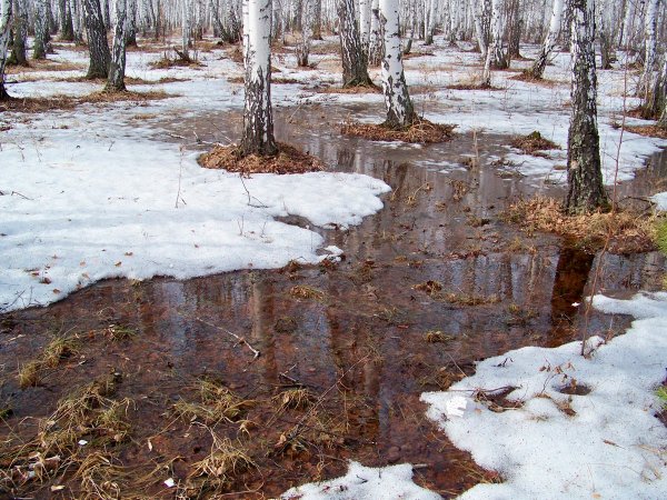 Василиса вешней воды указательница 23 марта
