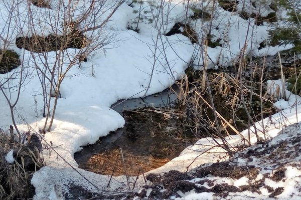 Быстрое таяние снега