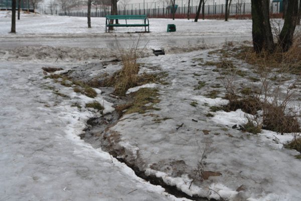 Пускать кораблики в ручейках