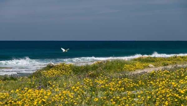 Море весной