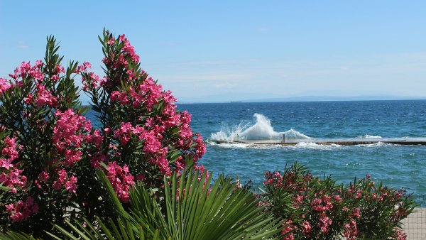 Сочи горы море